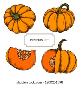Vector collection of hand drawn pumkins highly detailed