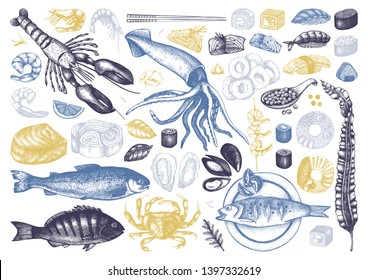 Vector collection of  hand drawn Seafood illustrations. With fresh fish, lobster, crab, oyster, mussel, squid ring, caviar, sushi, shrimps. Vintage food sketches set. Menu template