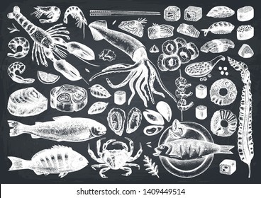 Vector collection of  hand drawn Seafood illustrations. With fresh fish, lobster, crab, oyster, mussel, squid ring, caviar, sushi, shrimps, sush. Vintage food sketches set. Menu template on chalkboard