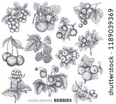Vector collection of hand drawn sketched berries isolated on white background. Strawberry, cherry, raspberry, gooseberry, blackberry, cloudberry, cranberry, blueberry