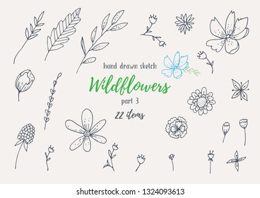 Vector Collection Of Hand Drawn Sketches With Plants. Botanical Set Monochrome Image Of Wild Of Sketch Flowers And Branches. Black And White Elements For Coloring.