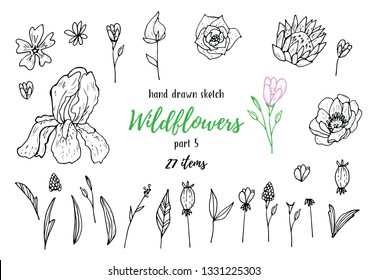 Vector Collection Of Hand Drawn Sketches With Plants. Botanical Set Monochrome Image Of Wild Of Sketch Flowers And Branches. Black And White Elements For Coloring.