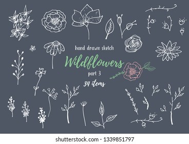 Vector Collection Of Hand Drawn Sketches With Plants. Botanical Set Monochrome Image Of Wild Of Sketch Flowers And Branches. Black And White Elements For Coloring.