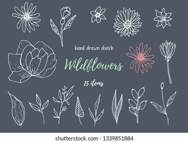 Vector Collection Of Hand Drawn Sketches With Plants. Botanical Set Monochrome Image Of Wild Of Sketch Flowers And Branches. Black And White Elements For Coloring.