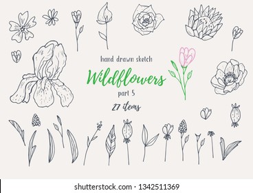 Vector Collection Of Hand Drawn Sketches With Plants. Botanical Set Monochrome Image Of Wild Of Sketch Flowers And Branches. Black And White Elements For Coloring.
