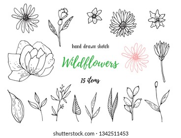 Vector Collection Of Hand Drawn Sketches With Plants. Botanical Set Monochrome Image Of Wild Of Sketch Flowers And Branches. Black And White Elements For Coloring.