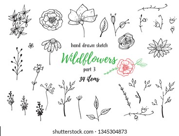 Vector Collection Of Hand Drawn Sketches With Plants. Botanical Set Monochrome Image Of Wild Of Sketch Flowers And Branches. Black And White Elements For Coloring.