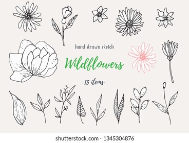 Vector Collection Of Hand Drawn Sketches With Plants. Botanical Set Monochrome Image Of Wild Of Sketch Flowers And Branches. Black And White Elements For Coloring.