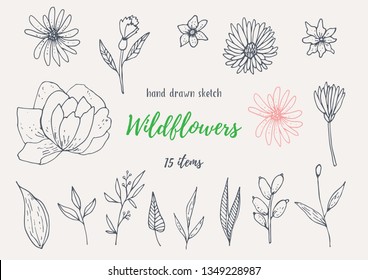 Vector Collection Of Hand Drawn Sketches With Plants. Botanical Set Monochrome Image Of Wild Of Sketch Flowers And Branches. Black And White Elements For Coloring.