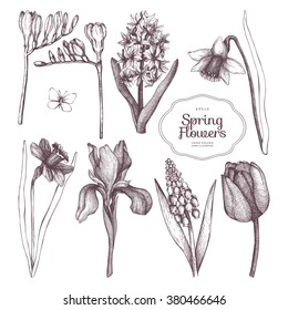 Vector collection of hand drawn spring flowers sketch isolated on white. Decorative set with vintage flowers for greeting card or invitation.   