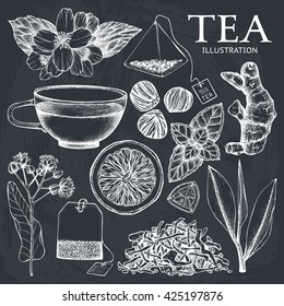 Vector collection of hand drawn tea illustration. Decorative inking vintage tea sketch isolated on chalkboard