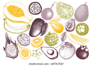 Vector collection of hand drawn tropical fruits illustration. Vintage set of leaves, fruits,  flowers sketch white background. Exotic garden drawing. 