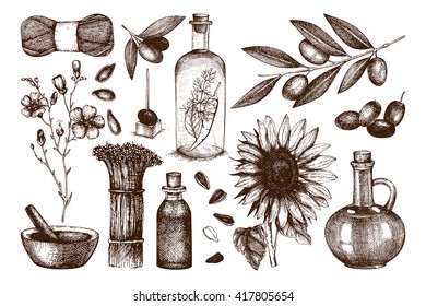 Vector collection of hand drawn vegetables and seed-oil illustration. Vintage healthy food illustration set. Decorative engraved oil sketch - olive, sunflower, flax