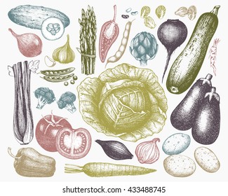 Vector Collection of  Hand drawn vegetables sketch. Healthy Food illustration set.  Vintage Farm fresh products in pastel colors.
