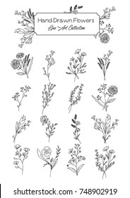 Vector Collection Of Hand Drawn Wild Flowers