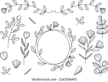 Colección vectorial de plantas manuales. Conjunto botánico de flores y ramas esquemáticas.