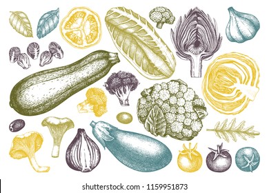 Vector collection of hand sketched vegetables. Vintage veggies and spices illustrations set. Healthy food drawings for vegetarian or organic menu design. Farm fresh products.