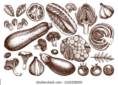 Vector collection of hand sketched vegetables. Vintage veggies and spices illustrations set. Healthy food drawings for vegetarian or organic menu design. Farm fresh products in engraved style