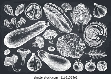 Vector collection of hand sketched vegetables. Vintage veggies and spices illustrations set. Healthy food drawings for vegetarian or organic menu design. Farm fresh products on chalkboard