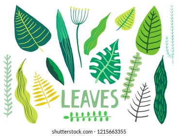 Vector collection of hand-drawn green leaves of different plants.