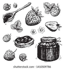 Vektorillustration-Sammlung von handgezeichneten Erdbeeren und Erdbeermarmelade. Verschiedene Zeichnungen von Beeren und Blättern. Marmelade. Der Stil der Gravur. Videokunst