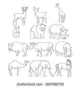 Vector collection of herbivorous animals hand drawn on white background