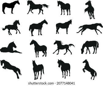 A vector collection of horse silhouettes for artwork compositions