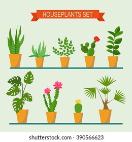 Vector collection of  houseplants and flowers in pots. Vector flat illustration