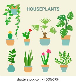 Vector collection of houseplants and flowers in pots. Vector flat illustration