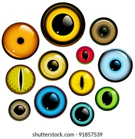 Vector Collection Of Human And Animal Eyes