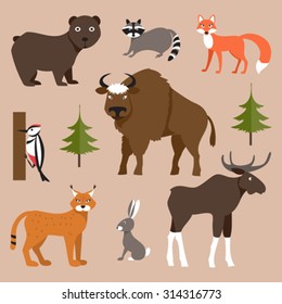Vector collection of icons and illustrations forest animals
