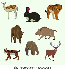Vector collection of icons and illustrations forest animals