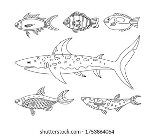 Vector collection of illustration of sea and water fishes. Modern templates with outline elements in linear black and white style.