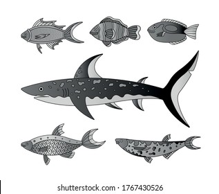 Vector collection of illustration of sea and water fishes. Modern templates with outline elements in style black and white. 