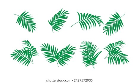 vector collection of illustrations of tropical foliage leaves