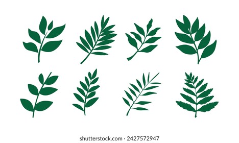 vector collection of illustrations of tropical foliage leaves