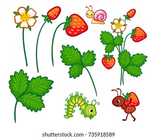 Vector collection of illustrations with wild plants and insects. Set of Forest berries, flowers and insects in a cartoon style.
