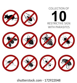 Vector Collection of image of 10 parasites