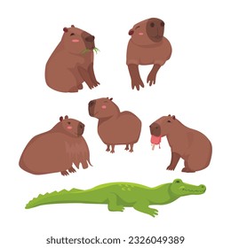 Vector collection with the image of a capybara on a white background.