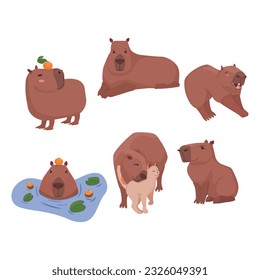 Vector collection with the image of a capybara on a white background.