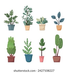 Vector collection of indoor, house plants in pots. Set of elements for design house, room or office. Isolated elements on white background.
