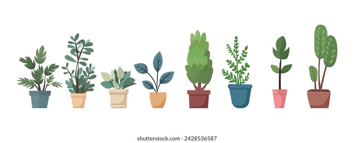 Colección vectorial de plantas de interior, casa en macetas. Conjunto de elementos para casa de diseño, habitación u oficina. Elementos aislados sobre fondo blanco.