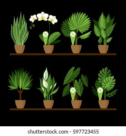 Vector collection of indoor, house plants in pots on a shelf. Home decorative and deciduous and flowering plants in a flat style. Set of elements for design house, room or office.