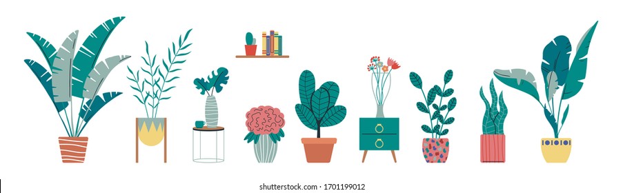 Vector collection of indoor, house tropical plants, cactus in pots. Home decorative and deciduous plants in a scandinavian hand drawn flat style. Isolated elements on white background