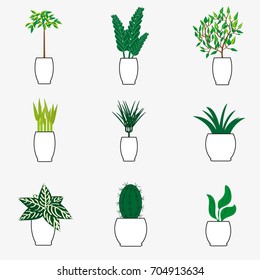 Vector collection of indoor plants in white pot for flat or office design