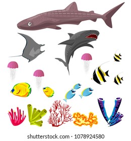 Vector collection of inhabitants and objects of sea fauna isolated on white background