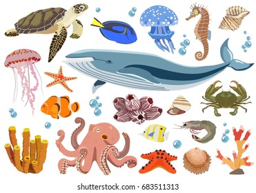 Vector collection of inhabitants and objects of sea fauna of octopus, whale, jellyfish, shrimp, fish, crab, shell, turtle, corals on white background.