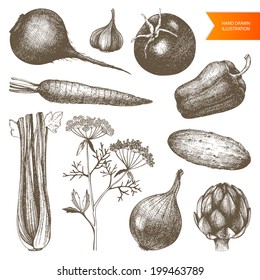 Vector collection of  ink hand drawn vegetables. Vintage healthy food illustration. Decorative  vegetables isolated on white background