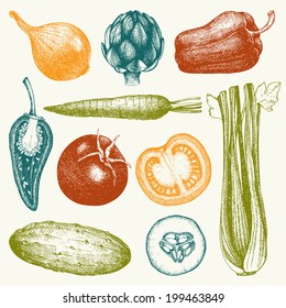 Vector Collection Of  Ink Hand Drawn Vegetables. Vintage Healthy Food Illustration. Decorative Colorful Vegetables.