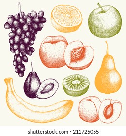 Vector collection of  ink hand drawn fruits for kitchen and restaurant design. Vintage colorful fruit illustration for vegetarian food.